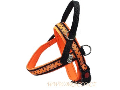 Bracco Norwegian harness, orange - different sizes.