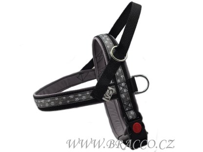 Bracco Norwegian harness, gray - different sizes.