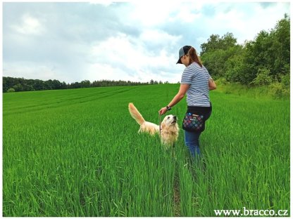 Bracco-Gürtel für Hundetraining und andere Hobbys, schwarze Pfoten/weiß-  verschiedene Größen