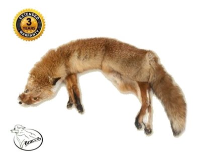 Bracco three-part fox dummy whole-fur– 2000g - 7000g