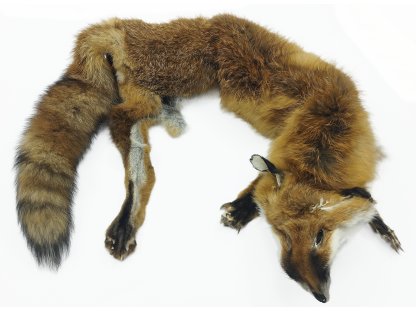 Bracco třídílný liščí aport celokožešinový- 2000 g - 7000 g, premium quality