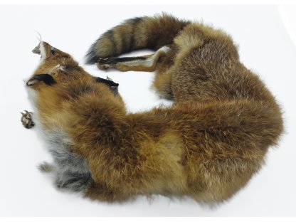 Bracco třídílný liščí aport celokožešinový- 2000 g - 7000 g, premium quality 2