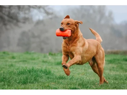 DT Launcher Dummy, verschiedene Farben