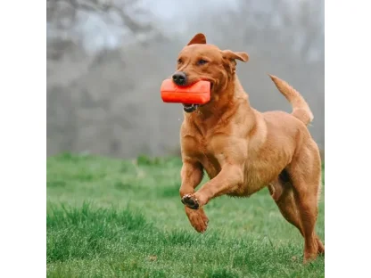 Dummy Launcher Pack 2