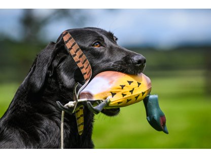 Game Bird Pheasant 300 g 2