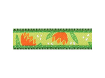 Obojek RD 12 mm x 20-32 cm - Tropical Green