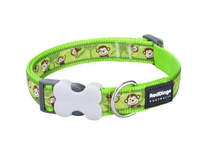 Obojek RD 15 mm x 24-36 cm - Monkey Lime Green