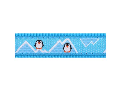 Obojek RD 20 mm x 30-47 cm - Penguin Turquoise