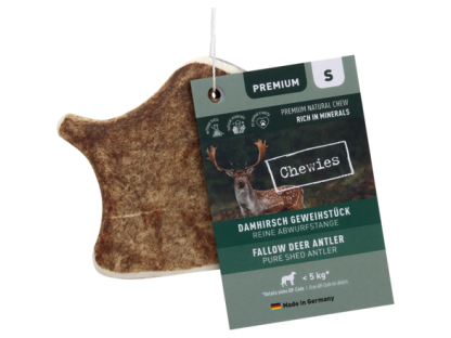 Chewies Geweih - Fallow Deer Antler - S