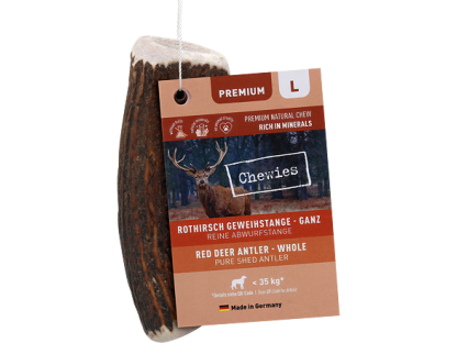 Chewies Geweih - Deer Antler - L