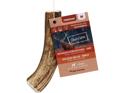 Chewies Geweih - Deer Antler - M