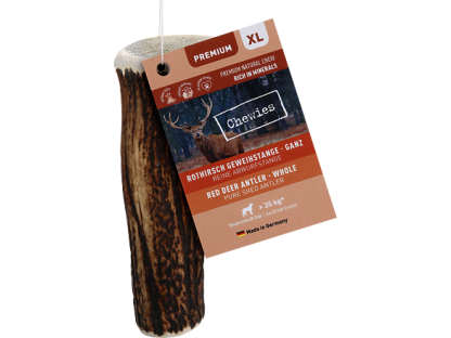 Chewies Geweih - Deer Antler - XL