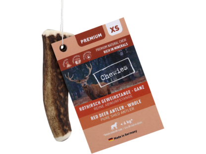 Chewies Geweih - Deer Antler - XS