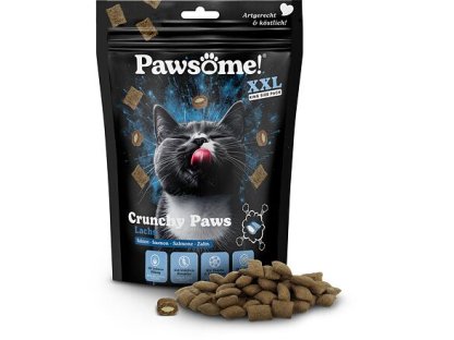 Pawsome! Crunchy Paws s lososem 150 g