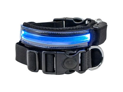Pettyitalia svítící obojek Nylon s modrým LED světlem – 25 mm x 46-49 cm