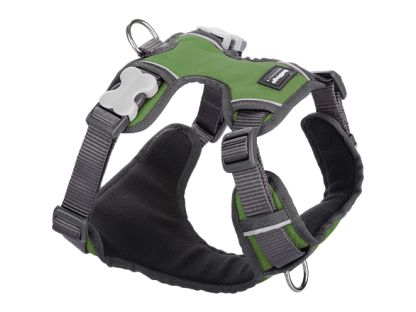 Padded Dog Harness L - 56-80 cm – Green