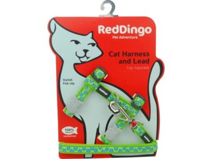 Cat Harnees & Lead - Stars Turquoise