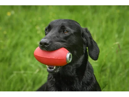 PVC Launcher Dummies 2