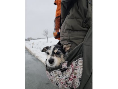 Hundetasche, grau + Aufdruck.
