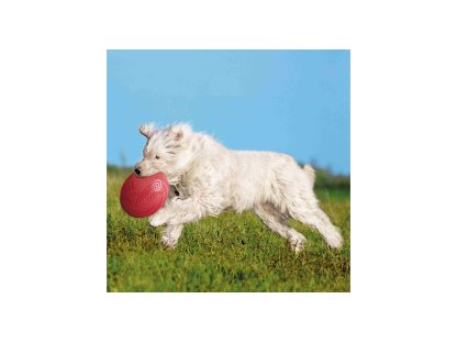 Trixie Frisbee Fliegende Untertasse L 24cm 2