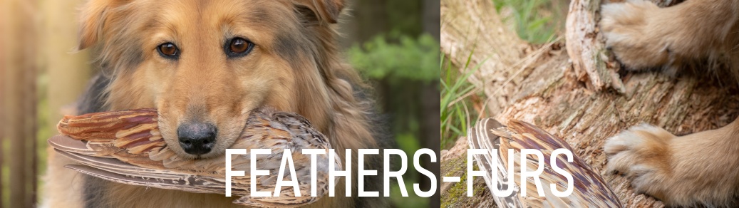 Fur and feathers – natural dog training materials | BRACCO.CZ - Bracco