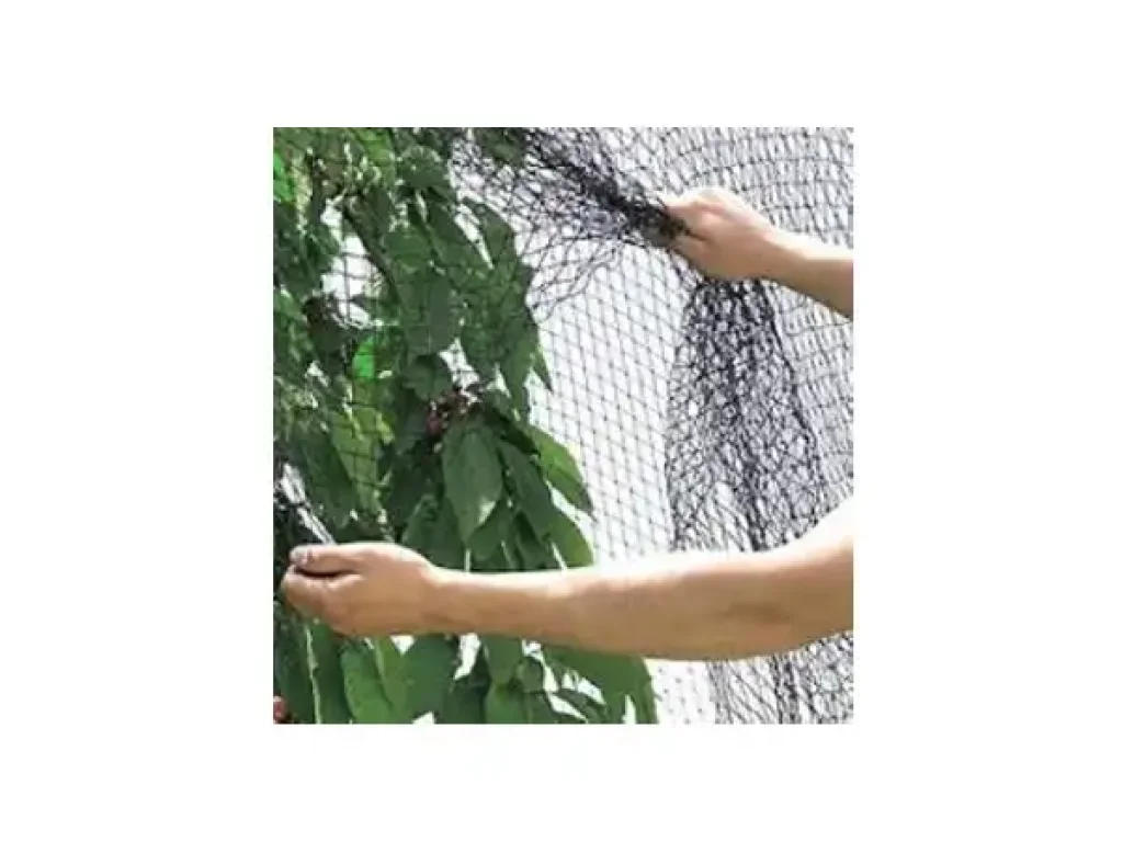 Sieť proti vtákom, 8x5m, 35g, Skveler, čierna