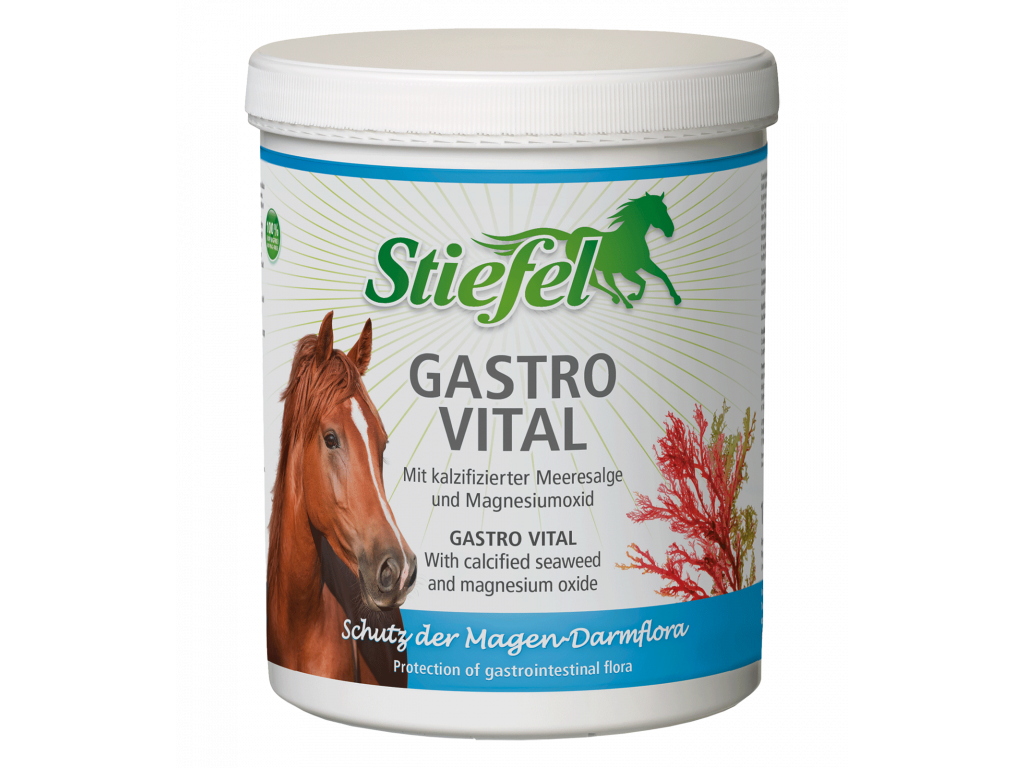 Stiefel Gastro Vital 1kg