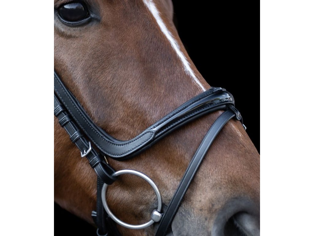 Waldhausen X-Line Bridle Freedom