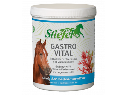 Stiefel Gastro Vital 1kg