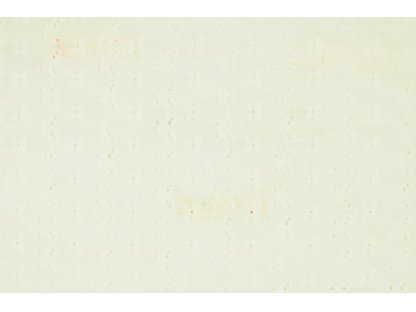 Bílé plátno  s vyšívanými kytičkami- madeira, š.145 cm