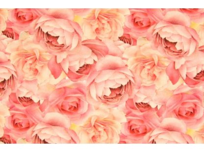 Elastický úplet se vzorem růží, š. 180 cm