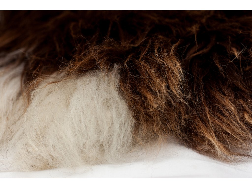 Škvrnitá ovčia koža - s dlhým vlasom