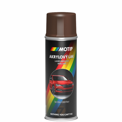 Skoda 9204 (LF8N, 1M1M) brown Mato metallic spray 200ml