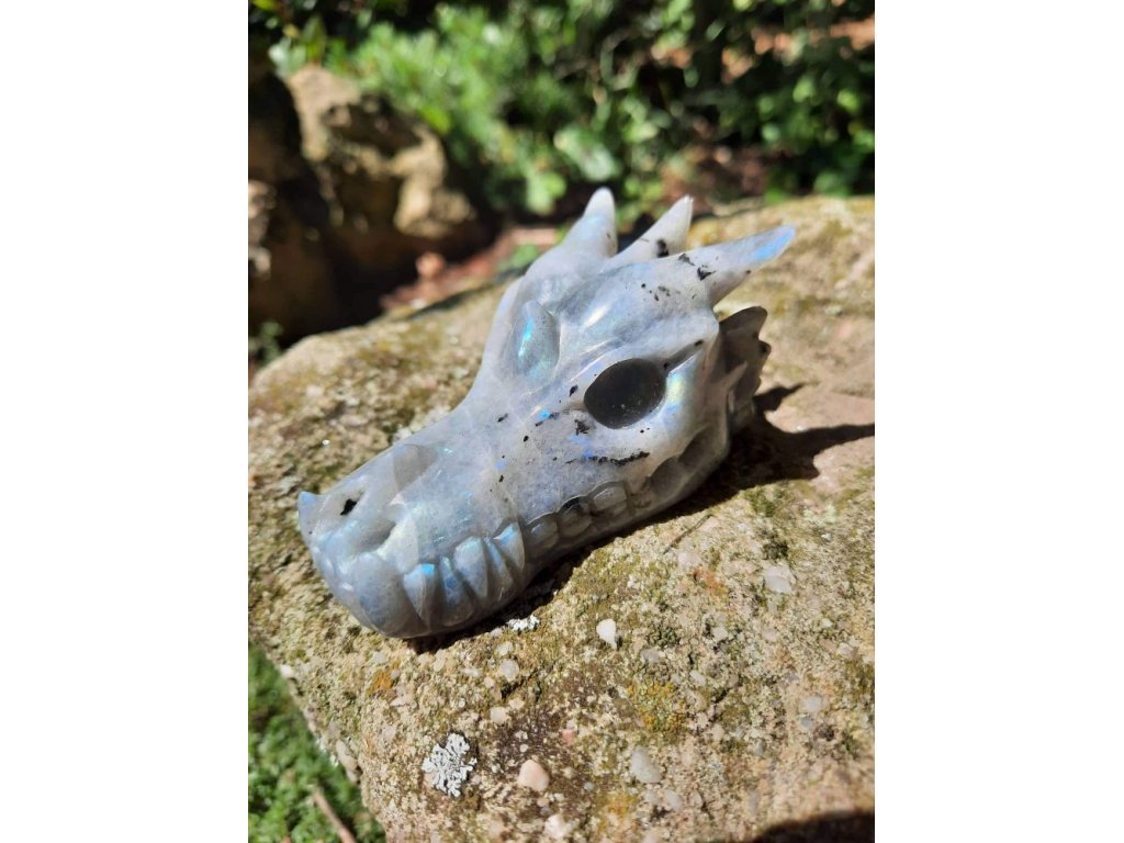 Dragon  Labradorite - 7,9cm