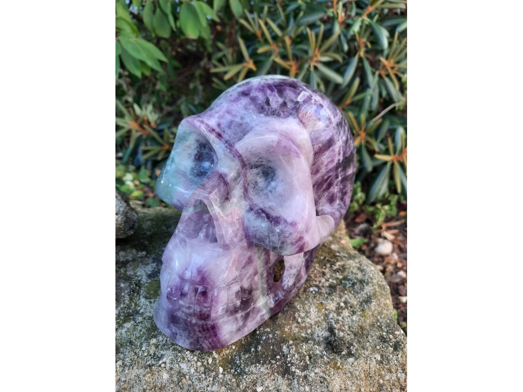 Schädel Fluorite Magnus 15cm speziel Geschliffen