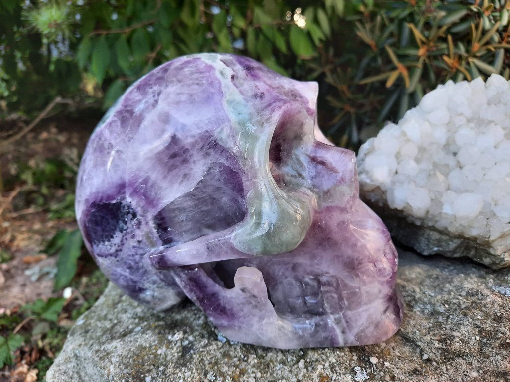 Schädel Fluorite Magnus 15cm speziel Geschliffen