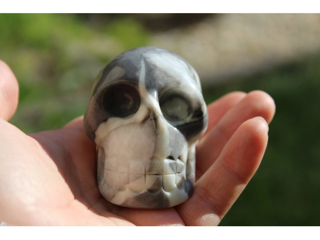 Skull Shell Jaspis with Calcite,Marmor special 5,5cm