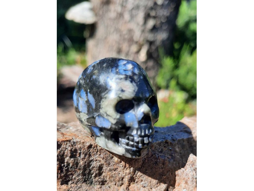 Skull Llanite*Que Sera*Vulcanite * 4.5cm
