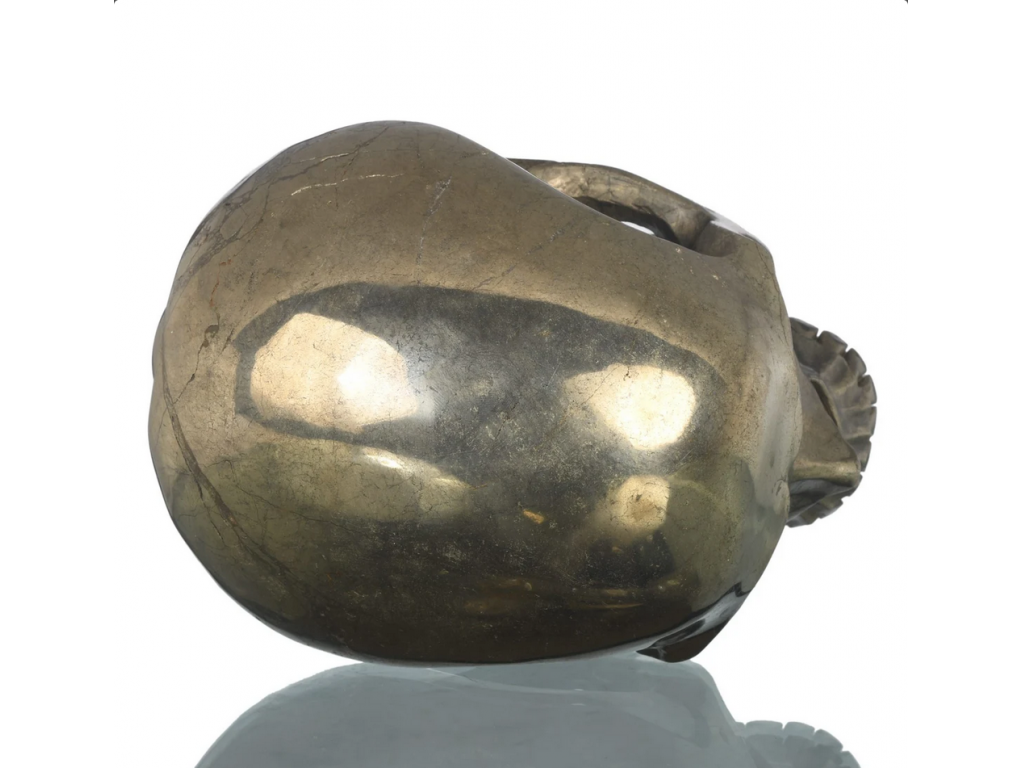 Lebka Realistik  Pyrite 17cm Velky