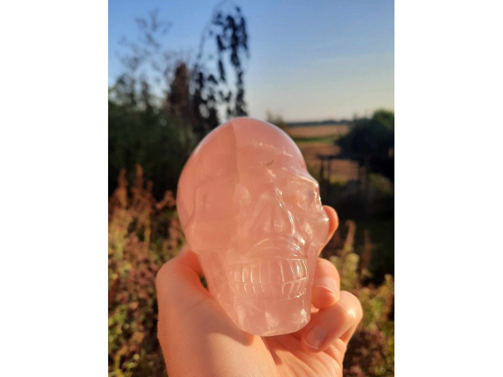 Rose quartz Skull 10cm extra