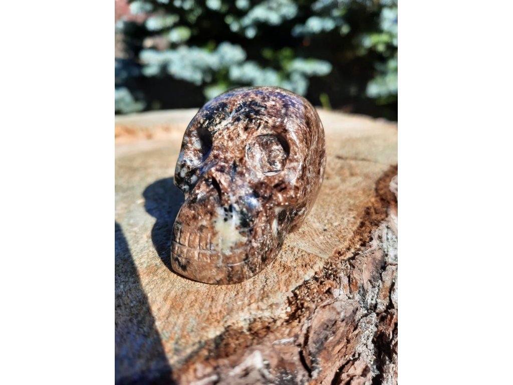Lebka ,Skull,Schädel Čaroit/Charoite 5cm