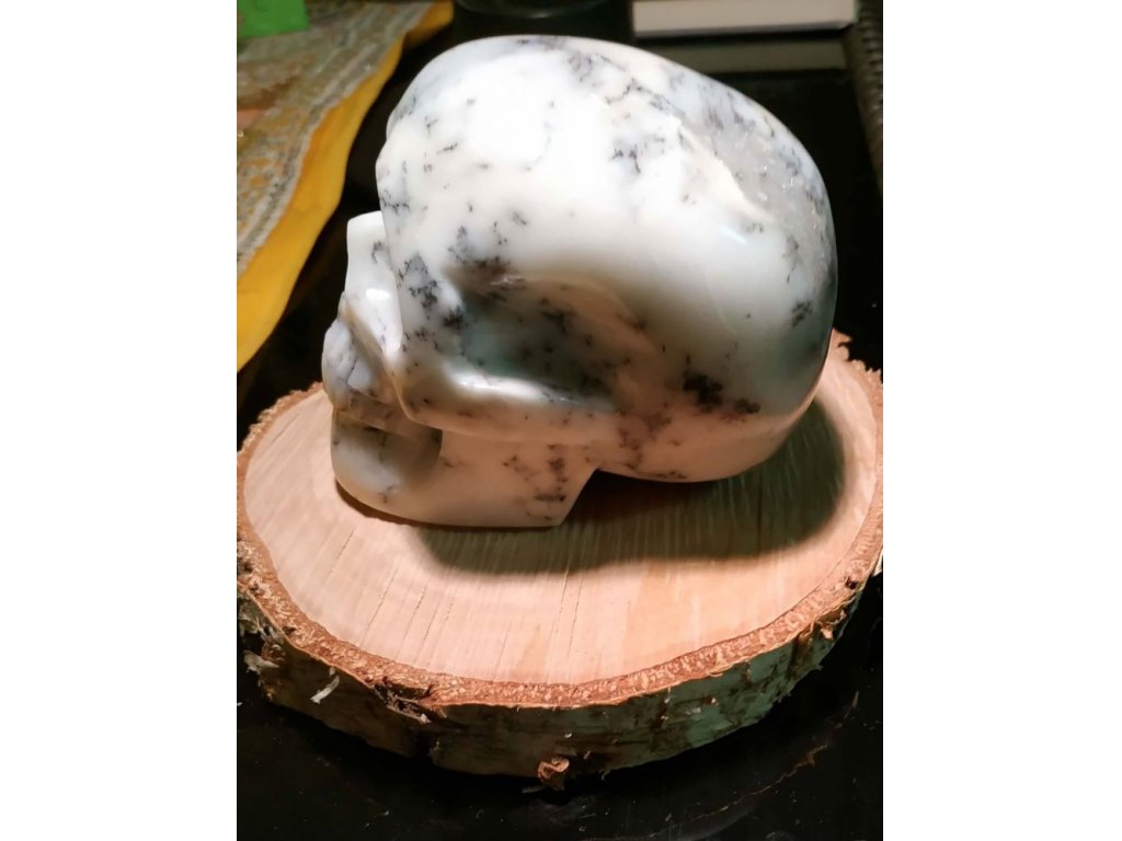 Skull Dendrik Opál/Merlinite  9cm