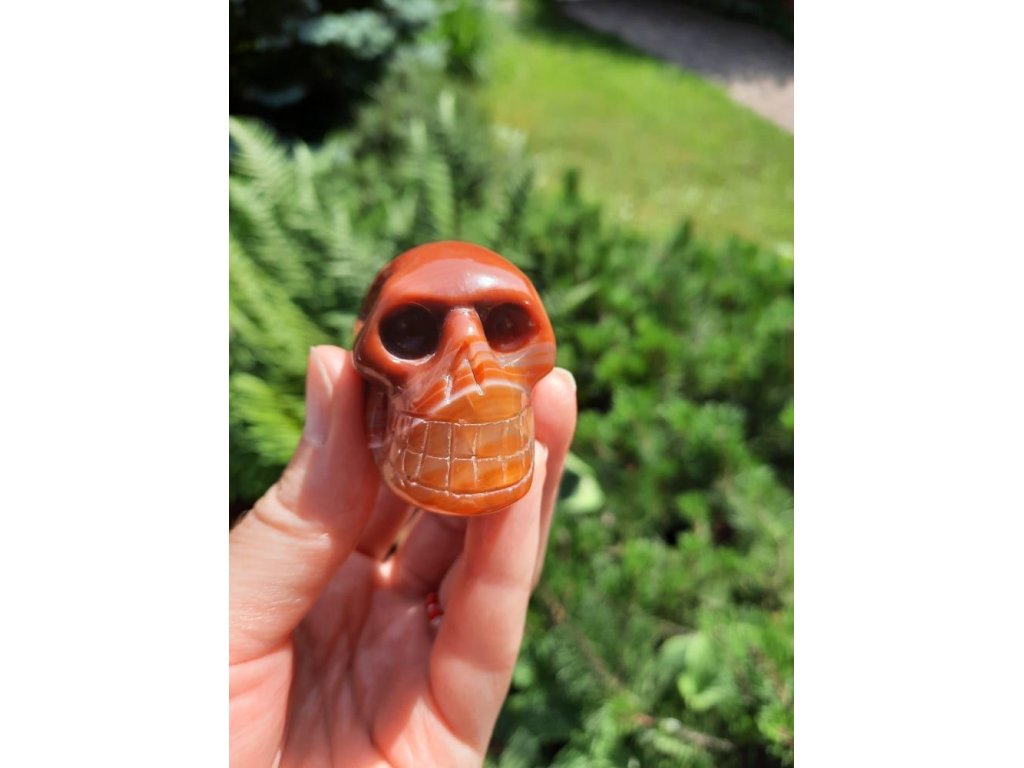 Skull Carnelian 4,5cm