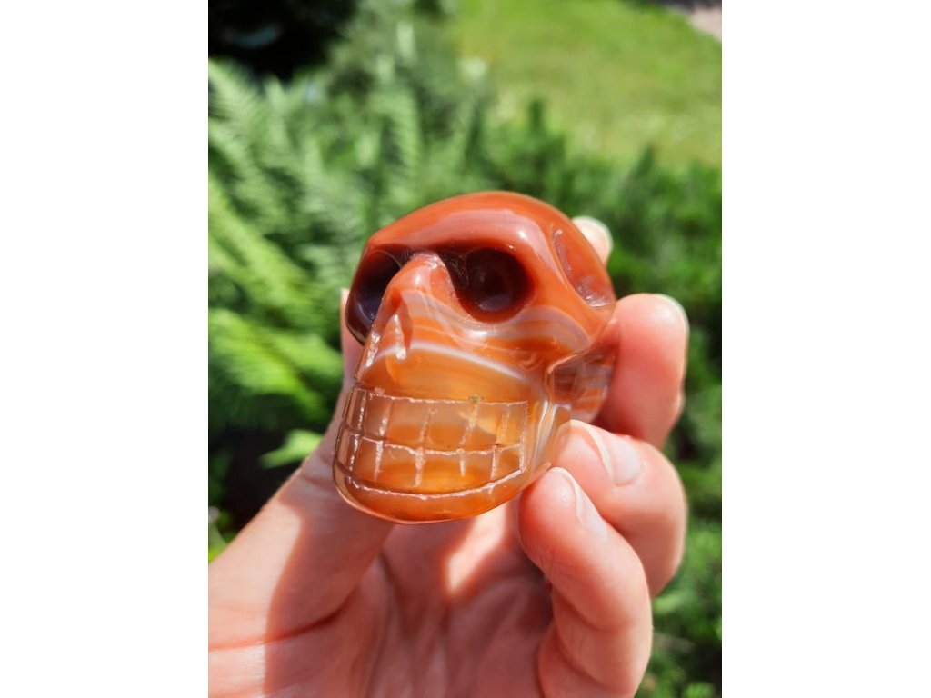 Skull Carnelian 4,5cm