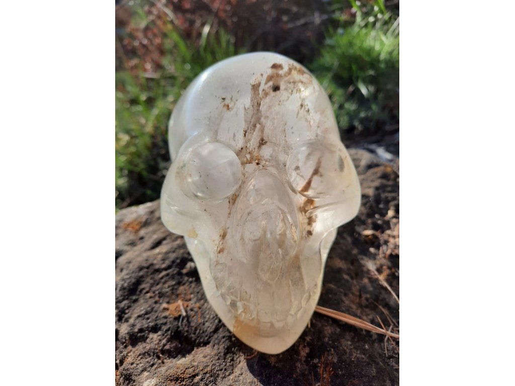 Skull Crystal inclusion 11cm