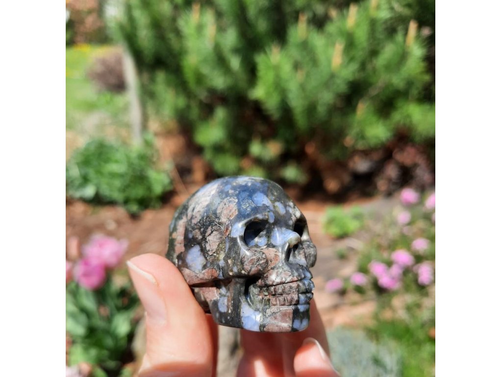 Skull Llanite*Que Sera*Vulcanite * 3cm