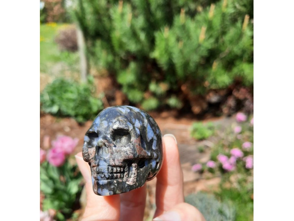 Skull Llanite*Que Sera*Vulcanite * 3cm