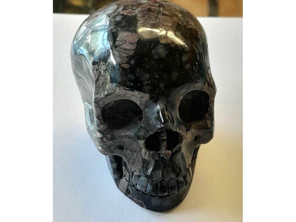 Skull Llanite/Que Sera/Vulcanite /Blue spotted  6cm