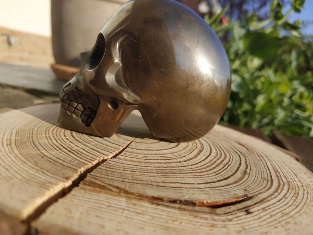 Lebka ,Skull,Schädel Pyrite 7cm