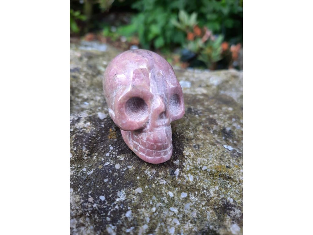 Skull Rhodonite 4cm Extra
